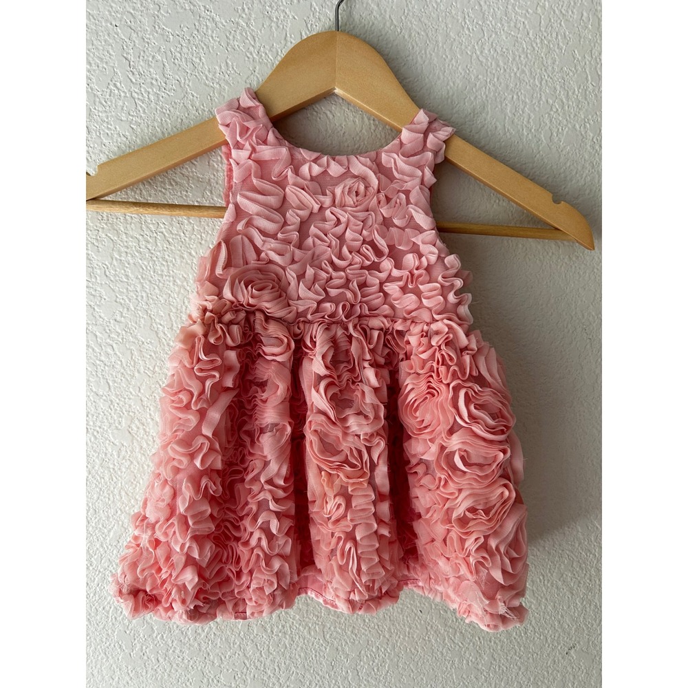 Cat & Jack Baby Girl Pink 3D Rosette Ruffle Party Dress 12M Special Occasion